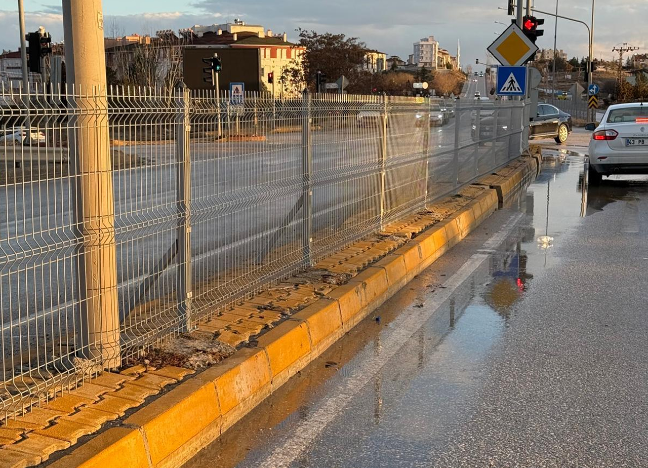 Single Renkli Panel Çit